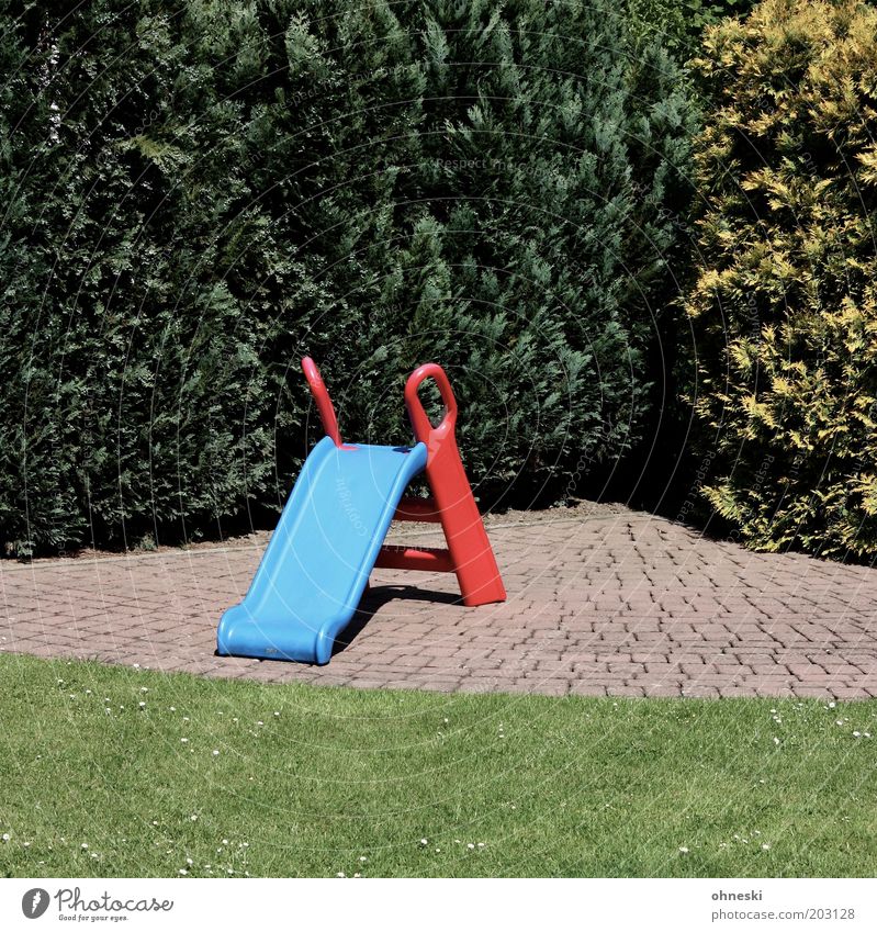 Rutschpartie Freizeit & Hobby Spielzeug Rutsche Kindheit Zypresse Hecke Garten Farbfoto Außenaufnahme Sonnenlicht leer Rasen Spielplatz Tag