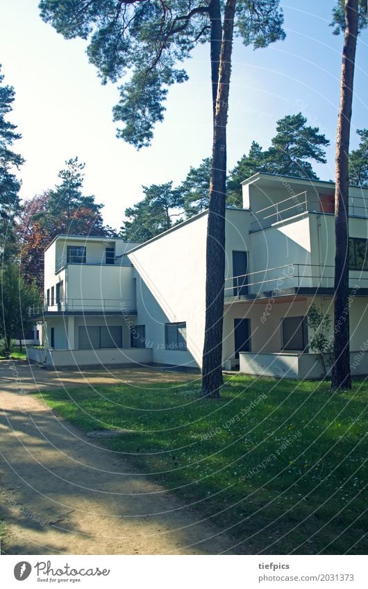 Bauhaus Meisterhaus Dessau Stil Haus Wald Gebäude Architektur Fassade Denkmal Meisterhäuser bauhaus schule Zwanziger Jahre deutschland Kiefer roßlau