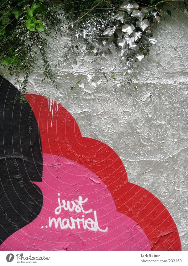 just married Efeu Menschenleer Mauer Wand Graffiti Coolness glänzend trendy kalt grün rosa rot schwarz silber Glück Zusammensein Liebe Verliebtheit Treue