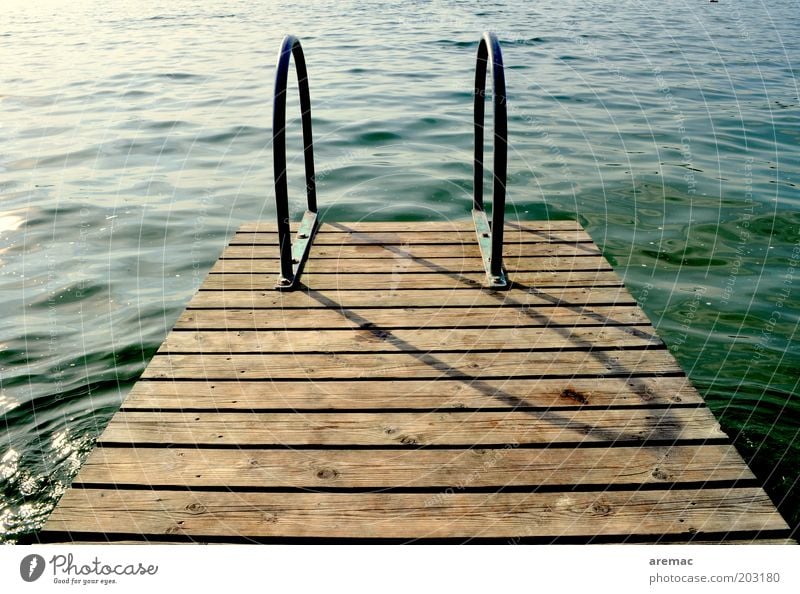 Späte Abkühlung Ferien & Urlaub & Reisen Sommer Sommerurlaub Schwimmbad Wasser Schönes Wetter Seeufer braun grün ruhig Steg Anlegestelle Farbfoto