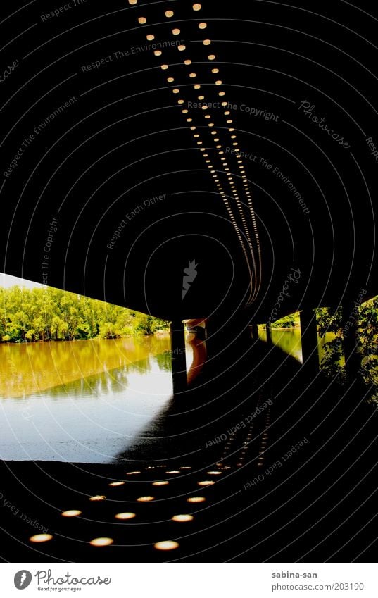 Bahnbrücke im Sommer Umwelt Natur Landschaft Pflanze Wasser Schönes Wetter Wärme Baum Park Seeufer Nürnberg Menschenleer Brücke Schienenverkehr beobachten