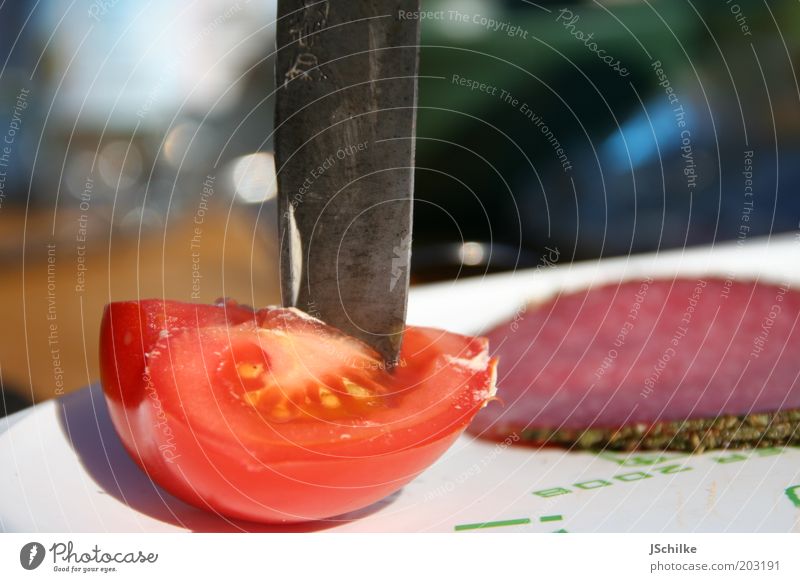 knife meets tomato Lebensmittel Fleisch Wurstwaren Gemüse Tomate Ernährung Picknick Bioprodukte Teller Besteck Messer Lifestyle Erholung Ausflug Camping