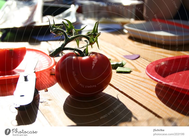 picknick season Lebensmittel Gemüse Tomate Ernährung Mittagessen Abendessen Picknick Bioprodukte Vegetarische Ernährung Diät Geschirr Teller Besteck Messer