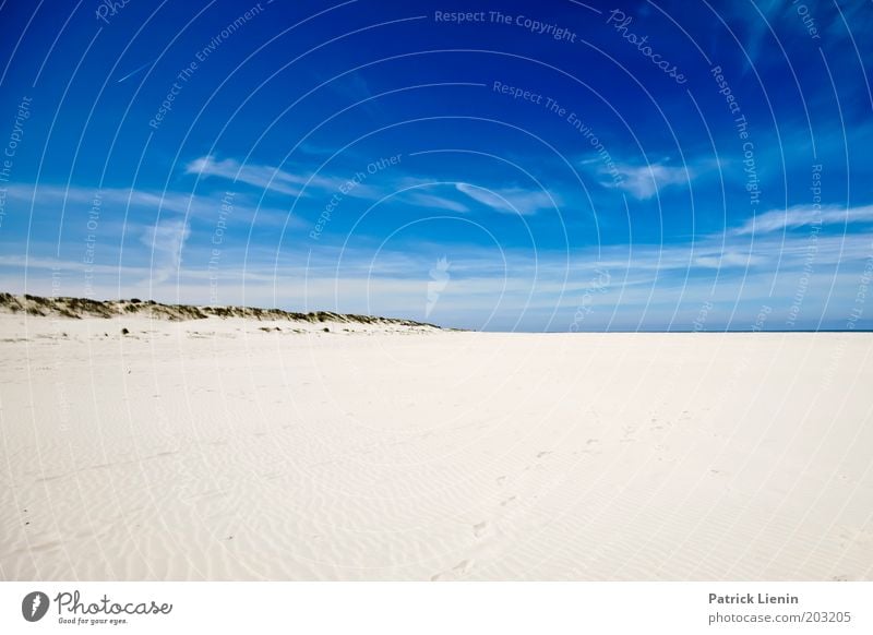 Spiekeroog im Sommer Natur Landschaft Himmel nur Himmel Wolken Schönes Wetter Wind Hügel Küste Strand Nordsee Insel entdecken Sand blau Freiheit Ferne Düne heiß