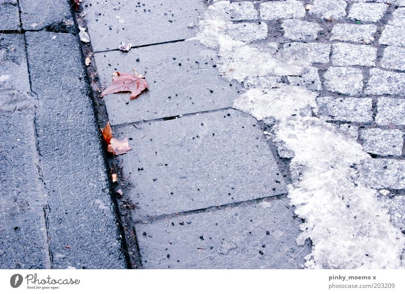 eiszeit alt Pflastersteine Eis kalt Winter Bürgersteig Stein Außenaufnahme Schnee Blatt Straße Menschenleer Frost