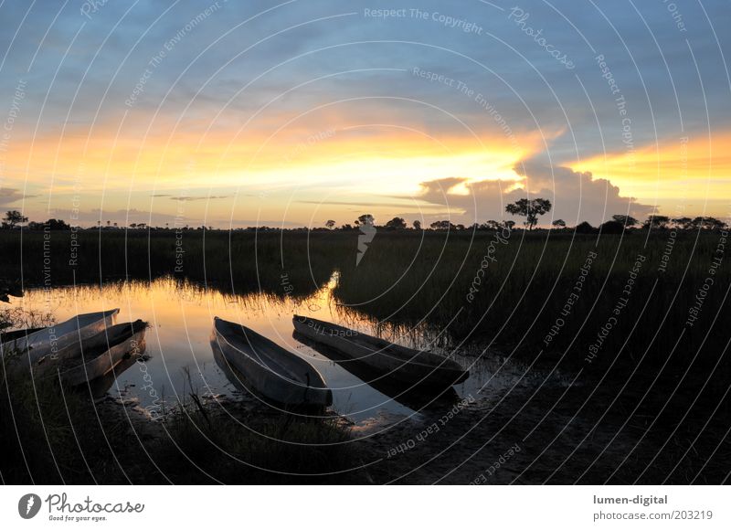 Romantik pur Sonnenaufgang Sonnenuntergang Mokoro Okavango Wasserfahrzeug ursprünglich exotisch Urwald Farbfoto Außenaufnahme Menschenleer Abend Flußmündung