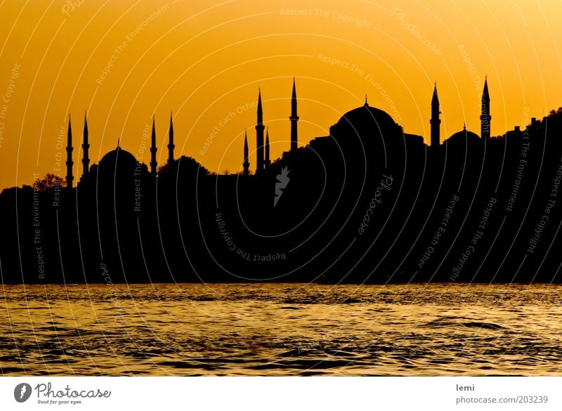 Skyline des alten Istanbul Hafenstadt Altstadt Bauwerk Gebäude historisch gelb Türkei Silhouette Moschee Bosporus Hagia Sophia Abenddämmerung Minarett