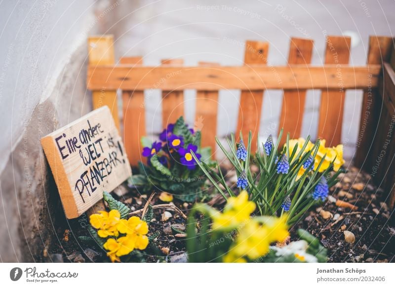 Eine andere Welt ist pflanzbar Sommer Garten Gartenarbeit Pflanze Erde Frühling Blume Blüte Wiese Straße Liebe Wachstum Fortschritt Engagement Holzzaun