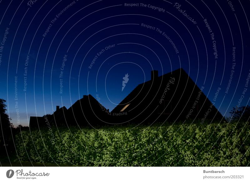 Kuckucksallee Haus Himmel Wolkenloser Himmel Nachthimmel Sonnenaufgang Sonnenuntergang Frühling Sträucher Hecke Dorf Einfamilienhaus Dach Straße dunkel eckig