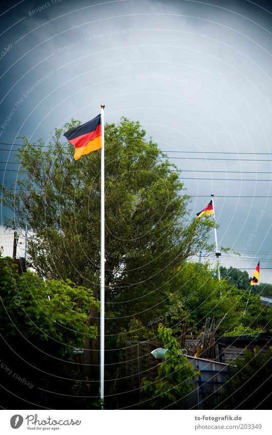 Patrioten-Spargel Fußball-WM WM 2010 Weltmeisterschaft wehen flattern Deutsche Flagge schlechtes Wetter Gewitter Kleingartenkolonie Schrebergarten Garten