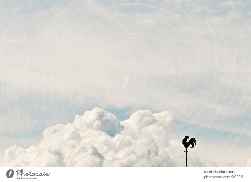 Südsüdwest mit Gewitterböen Himmel Wolken Klima Klimawandel Wetter Wind weiß Wetterhahn Gewitterwolken Tag Windrichtung