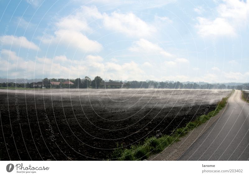 Morgendunst II Natur Landschaft Erde Herbst Schönes Wetter Feld Straße Umwelt Farbfoto Außenaufnahme Menschenleer Textfreiraum oben Schwache Tiefenschärfe