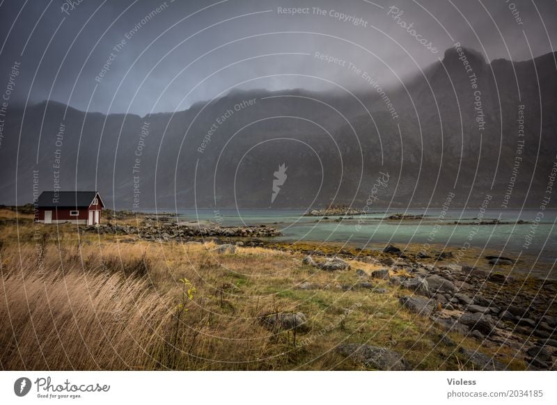 rainyday.... Umwelt Natur Landschaft Himmel Wolken Herbst Wetter Berge u. Gebirge Schlucht Flussufer Nordsee atmen Erholung fantastisch Norwegen Fjord ruhig