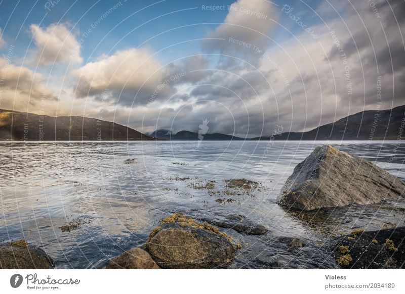 Gegensätze Umwelt Natur Landschaft Himmel Wolken Herbst Wetter Berge u. Gebirge Schlucht Flussufer Nordsee atmen Erholung fantastisch Norwegen Fjord Stein ruhig