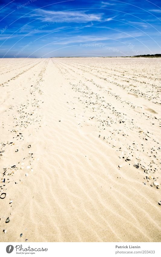 Einsam am Strand Umwelt Natur Landschaft Sand Luft Himmel Wolken Sommer Wetter Schönes Wetter Nordsee Insel Spiekeroog Blick Muschel blau Linie Ferne