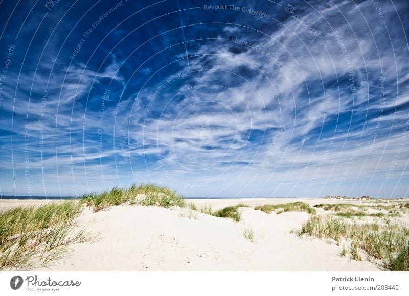 Spiekeroog Umwelt Natur Pflanze Sand Luft Himmel Wolken Sommer Schönes Wetter Küste Strand Nordsee Meer Insel blau Düne Formation Ferien & Urlaub & Reisen ruhig