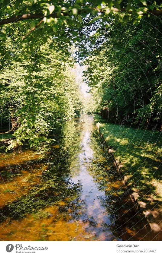 analoge Himmelspassage Umwelt Natur Landschaft Pflanze Erde Wasser Klima Wetter Schönes Wetter Bach Gefühle Stimmung Farbfoto mehrfarbig Außenaufnahme