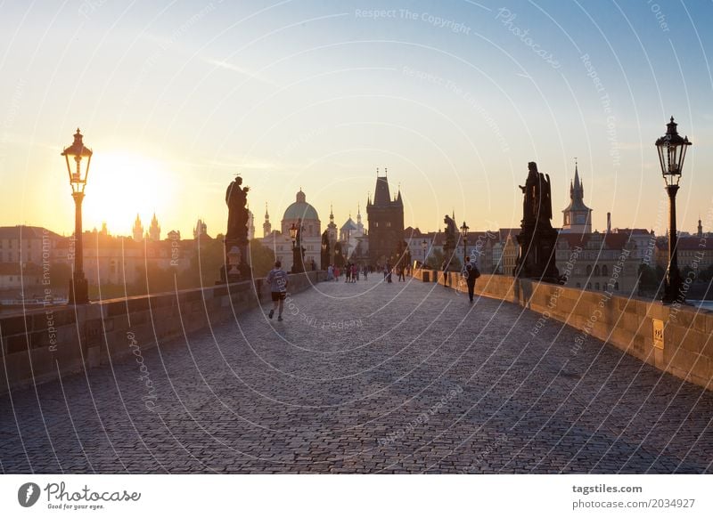 PRAGER KARLSBRÜCKE Prag Karlsbrücke Sonnenaufgang Dämmerung blau Ferien & Urlaub & Reisen Reisefotografie Brücke Tschechien Nacht Stadt Europa Städtereise