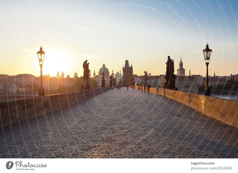 KARLSBRÜCKE - PRAG Prag Karlsbrücke Sonnenaufgang Dämmerung blau Ferien & Urlaub & Reisen Reisefotografie Brücke Tschechien Nacht Stadt Europa Städtereise