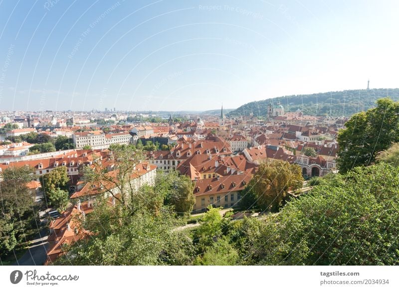 NATUR IN PRAG Prag Moldau blau Ferien & Urlaub & Reisen Reisefotografie Natur Wald Baum Tschechien Beleuchtung Stadt Europa Städtereise Postkarte Sonnenstrahlen