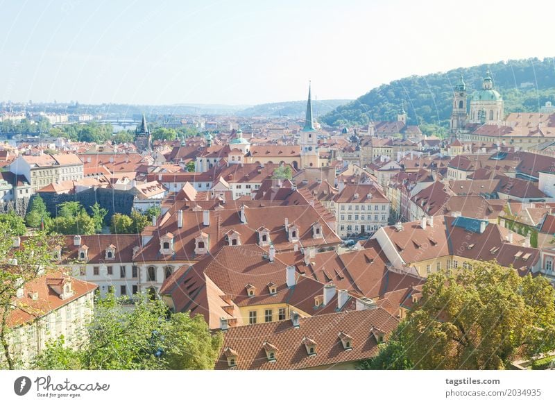 BLICK ÜBER DIE PRAGER ALTSTADT Prag Moldau blau Ferien & Urlaub & Reisen Reisefotografie Natur Wald Baum Tschechien Beleuchtung Stadt Europa Städtereise