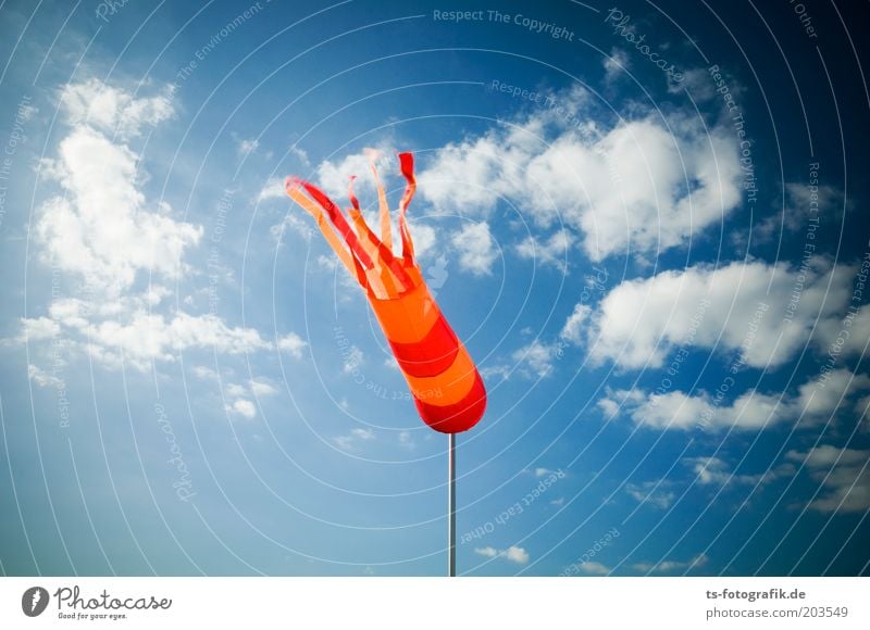 Flying Tintenfisch Ferien & Urlaub & Reisen Freiheit Sommerurlaub Meer Umwelt Urelemente Luft Himmel Wolken Wetter Schönes Wetter Wind Sturm Windmesser Tornado