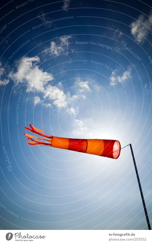 Ringelsocke auf Durchzug Ferne Freiheit Sommerurlaub Meer Windmesser Tornado Windanzeiger Windsack Natur Urelemente Luft Himmel Wolken Wetter Schönes Wetter