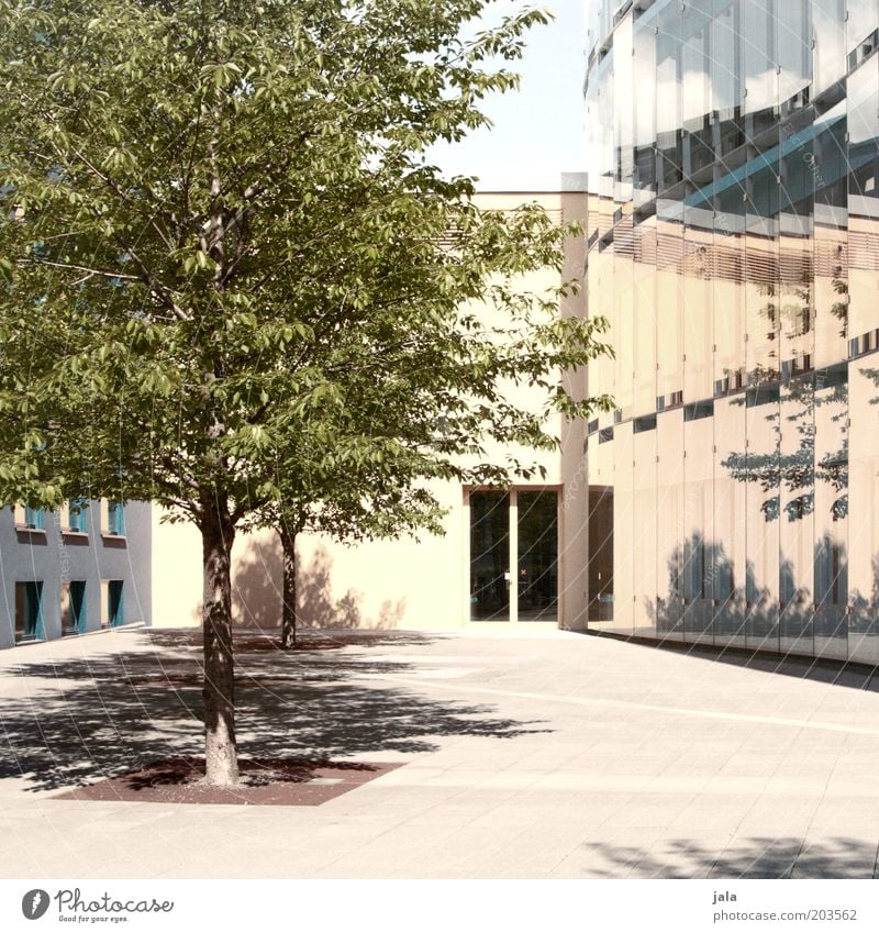 sommer vor der tür Schönes Wetter Baum Haus Platz Bauwerk Gebäude Architektur Fenster Tür Stadt Wärme Farbfoto Außenaufnahme Menschenleer Tag Licht Schatten