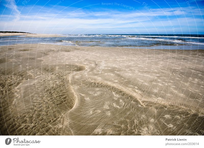 geniessen Umwelt Natur Sand Wasser Himmel Wolken Sommer Klima Schönes Wetter Wind Wellen Küste Strand Nordsee Meer Insel Spiekeroog Muster Spuren Horizont Ferne