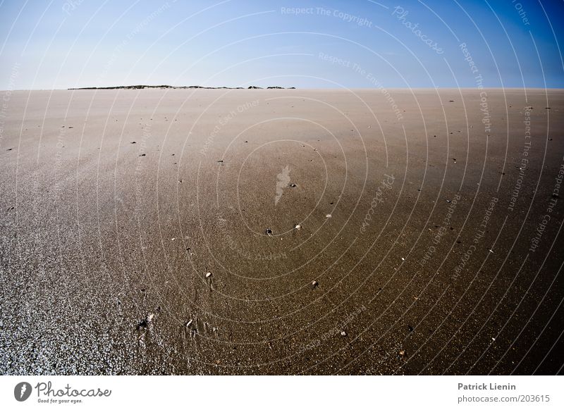 Freiheit Umwelt Natur Landschaft Urelemente Sand Luft Wasser Himmel Wolkenloser Himmel Horizont Sonne Sommer Klima Wetter Wellen Küste Strand Nordsee Meer Insel