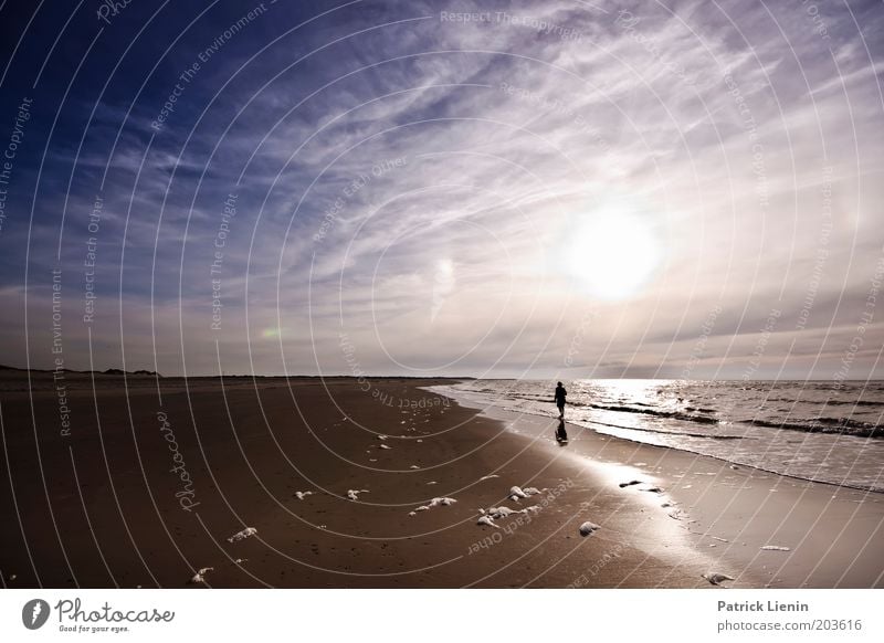 Grenzenlos Umwelt Natur Landschaft Urelemente Erde Sand Luft Wasser Himmel Wolken Sonnenaufgang Sonnenuntergang Sommer Schönes Wetter Wind Wellen Küste Strand