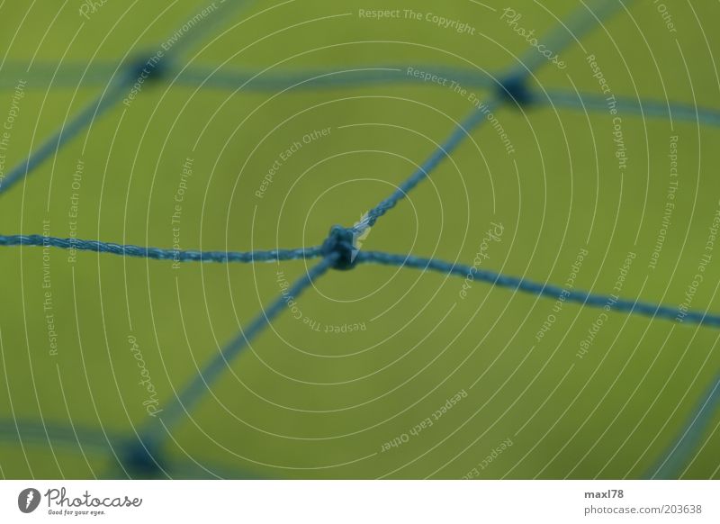 triff mich Freizeit & Hobby Netz Ballsport Knoten grün Farbfoto Außenaufnahme Makroaufnahme Menschenleer Tag Unschärfe blau
