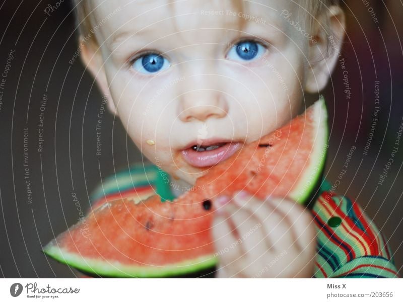 800 x Lebensmittel Frucht Ernährung Essen Kind Kleinkind Junge Kindheit 1-3 Jahre frisch Gesundheit saftig süß Appetit & Hunger Melonen Wassermelone Auge