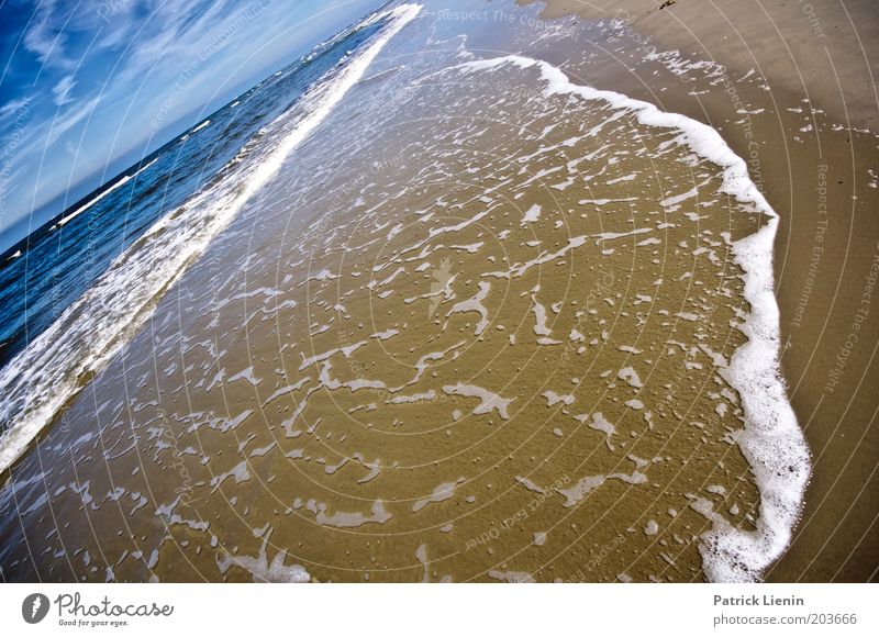 Hörst Du das Meer rauschen? Umwelt Natur Landschaft Wolken Sommer Klima Wetter Schönes Wetter Wind Wellen Küste Strand Nordsee Schaum Ferien & Urlaub & Reisen