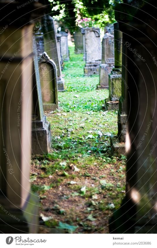 Grabsteinflucht Umwelt Natur Sommer Schönes Wetter Wärme Gras Moos Friedhof Grabmal Sockel alt eckig braun ruhig Religion & Glaube Hoppenlaufriedhof verwittert