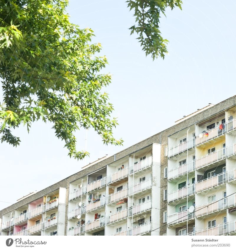 alter Neubau Baum Stadt überbevölkert Haus Hochhaus Fassade Balkon Fenster Häusliches Leben Plattenbau Satellitenantenne mehrfarbig einzigartig viele Ghetto