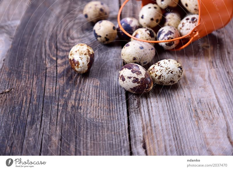 Aus einem Eimer Wachteleier verstreut Ernährung Frühstück Diät Tisch Ostern Holz frisch klein oben grau Panzer Lebensmittel essbar roh nützlich geschmackvoll