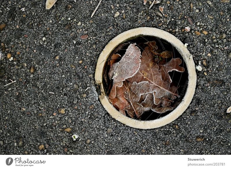 Frostlöchschken Golf Golfplatz Beton ästhetisch authentisch Golfloch Blatt Farbfoto Außenaufnahme Menschenleer Herbst Winter Winterpause Loch Boden Kreis Röhren