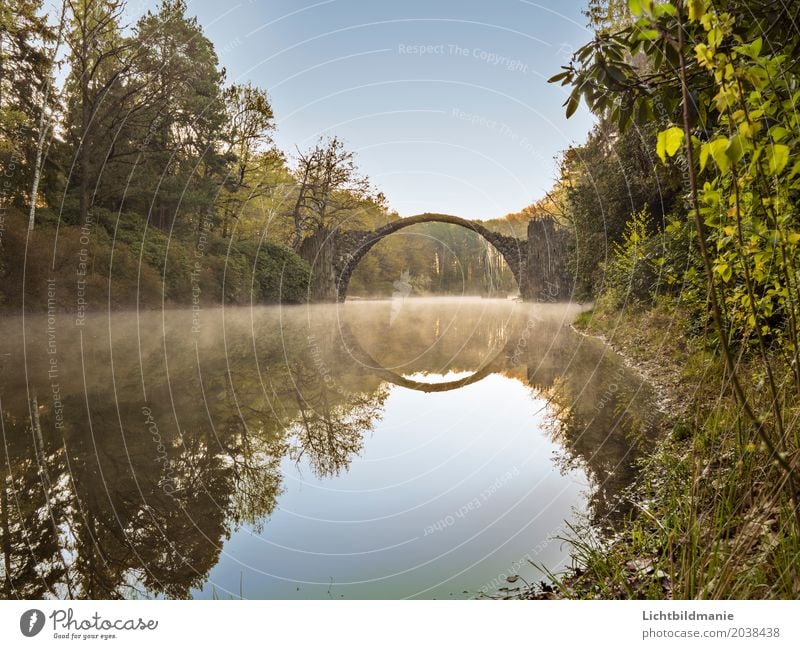 Rakotzbrücke 2 Ausflug Sightseeing Kunst Kunstwerk Architektur Kultur Natur Landschaft Frühling Nebel Park Seeufer Moor Sumpf Teich Rhododendron