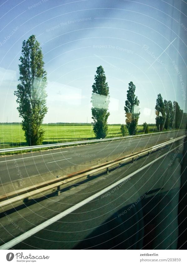 Belgien Straße Straßenverkehr Fahrbahn Autobahn Asphalt Leitplanke Pappeln Allee Baum Baumreihe Feld Ferne Seitenstreifen Linie fahren Ferien & Urlaub & Reisen