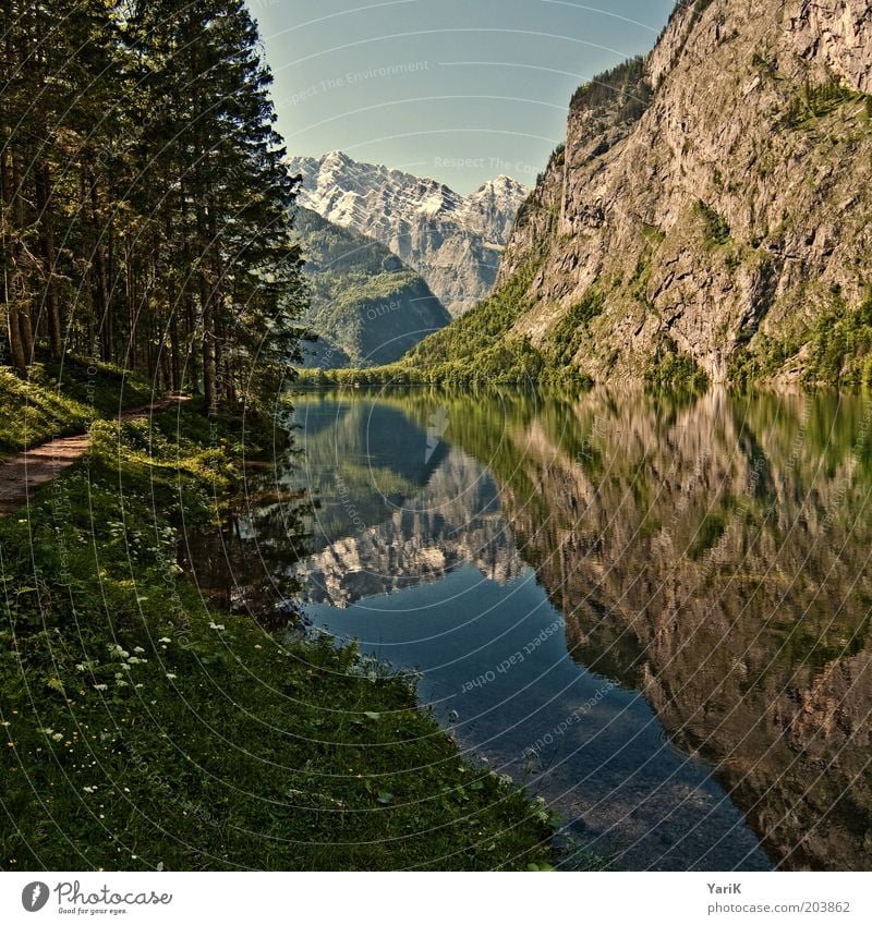 In de Berch Ferne Freiheit Sommer Berge u. Gebirge ästhetisch einzigartig See Seeufer Fußweg Wege & Pfade Gras Baum Wald Wasser Aussicht Schneebedeckte Gipfel