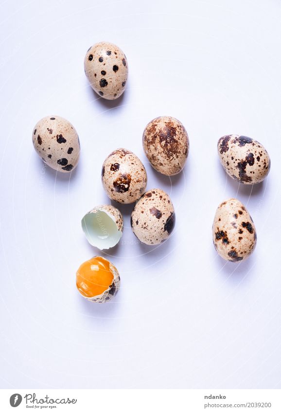 Frische Wachteleier auf einer weißen Oberfläche Ernährung Essen Frühstück Diät Tisch Ostern Natur frisch klein natürlich oben braun Tradition Eigelb Öko