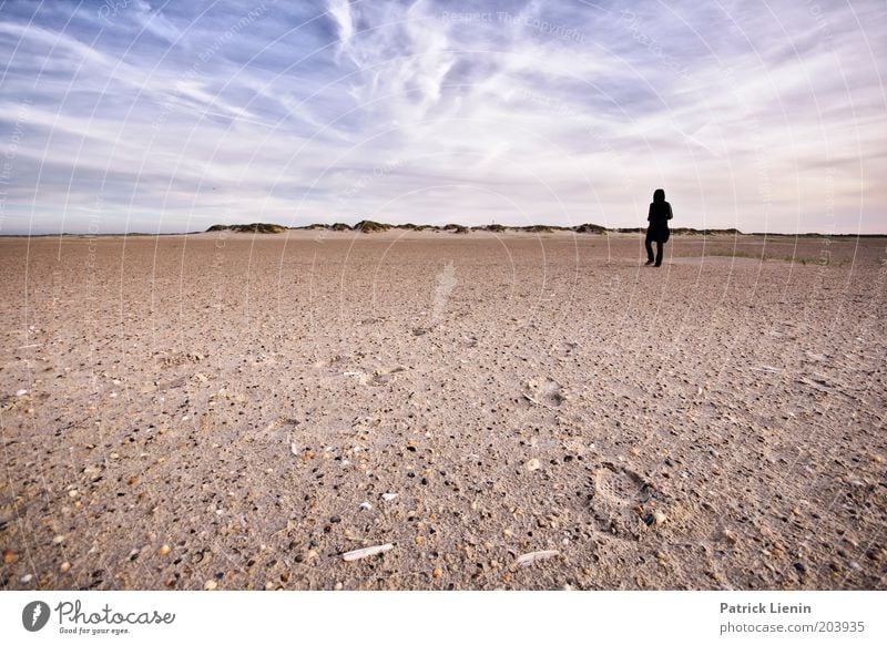 Lost! Umwelt Natur Landschaft Urelemente Erde Sand Luft Himmel Wolken Sommer Klima Schönes Wetter Wind Küste Strand Nordsee Meer Insel Spiekeroog Blick Mensch