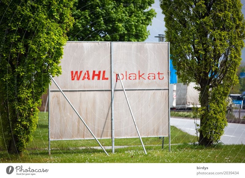 Politikverdrossenheit Politiker Politik & Staat Baum Straße Plakatwand Schriftzeichen Schilder & Markierungen authentisch einfach lustig Stadt Optimismus