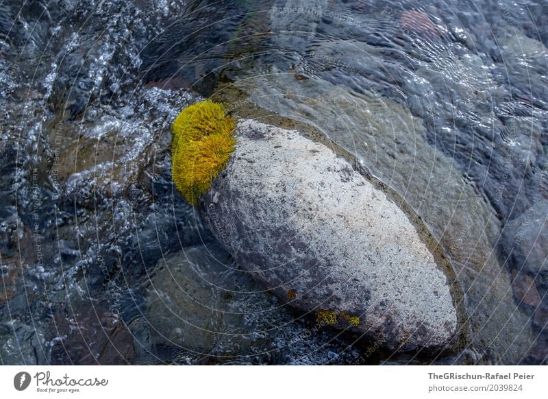 Moosstein Natur blau grau grün weiß Stein Wasser Strukturen & Formen Bach Gischt nass Farbfoto Außenaufnahme Detailaufnahme Menschenleer Textfreiraum oben Tag