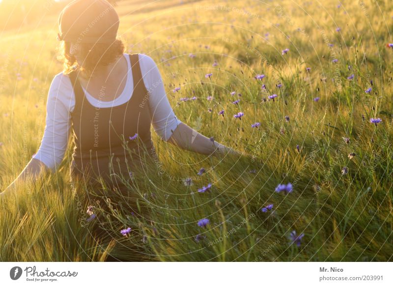 Sommerabend ll feminin Frau Erwachsene Natur Landschaft Klima Wetter Pflanze Feld Mütze rothaarig Locken Glück Zufriedenheit Romantik Wärme träumen Duft