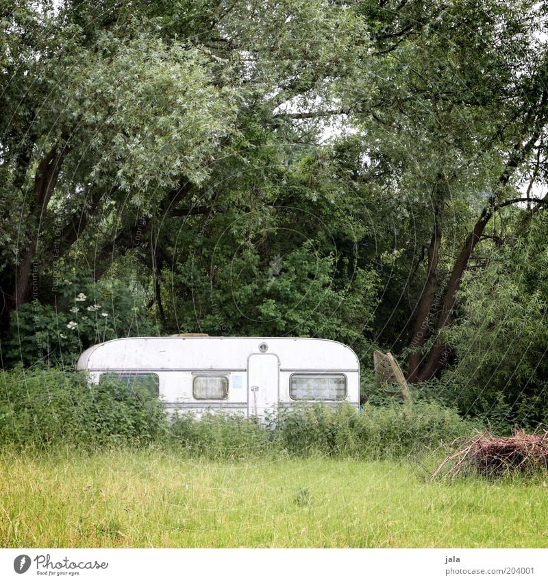 zufluchtsort wohnwagen Camping Natur Landschaft Pflanze Baum Gras Sträucher Wiese Wald Wohnwagen grün weiß Einsamkeit Wochenende Grundstück Farbfoto