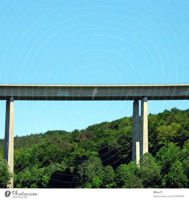 Brücke Natur Landschaft Wald Verkehr Verkehrswege Straße Umwelt Autobahn Farbfoto Außenaufnahme Textfreiraum oben Pylon Hochstraße Architektur