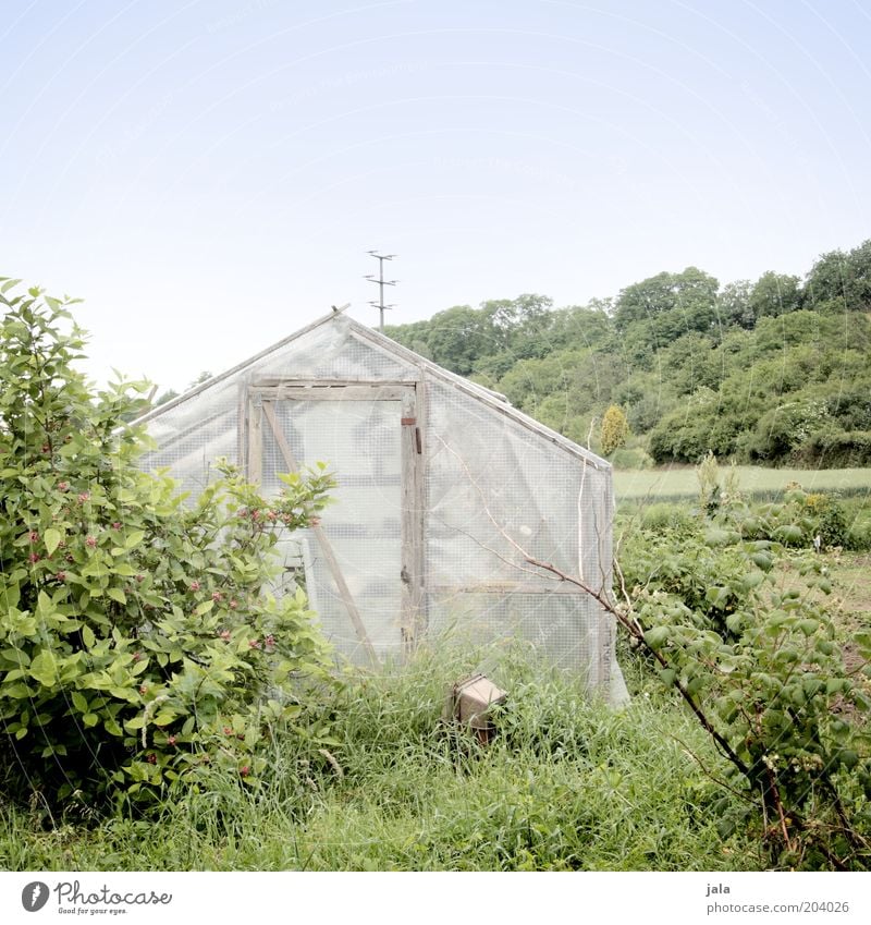 eigenbedarf Natur Landschaft Himmel Pflanze Baum Gras Sträucher grün Gemüsegarten Farbfoto Außenaufnahme Menschenleer Textfreiraum oben Tag Totale Gewächshaus