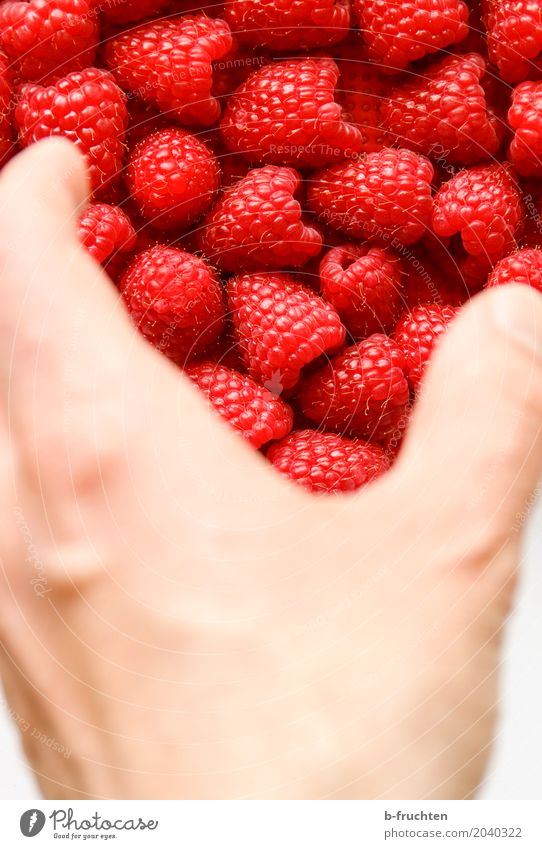 eine Handvoll Naschbeeren Frucht Mann Erwachsene 30-45 Jahre berühren genießen frisch Gesundheit Begierde Lust Himbeeren Süßwaren nehmen Beeren Milchshake